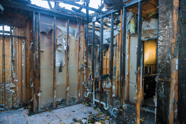 Professional Fire Damage Removal technician working in Lexington, SC